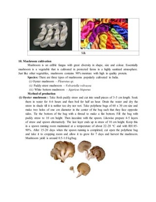 Silk
10. Mushroom cultivation
Mushroom is an edible fungus with great diversity in shape, size and colour. Essentially
mushroom is a vegetable that is cultivated in protected farms in a highly sanitized atmosphere.
Just like other vegetables, mushroom contains 90% moisture with high in quality protein.
Species: There are three types of mushrooms popularly cultivated in India.
(i) Oyster mushroom – Pleurotus sp.
(ii) Paddy straw mushroom – Volvariella volvacea
(iii) White bottom mushroom – Agaricus bisporus
Method of production
(i) Oyster mushroom : Take fresh paddy straw and cut into small pieces of 3-5 cm length. Soak
them in water for 4-6 hours and then boil for half an hour. Drain the water and dry the
straw in shade till it is neither too dry nor wet. Take polythene bags of 60 x 30 cm size and
make two holes of one cm diameter in the center of the bag such that they face opposite
sides. Tie the bottom of the bag with a thread to make a flat bottom. Fill the bag with
paddy straw to 10 cm height. Then inoculate with the spawn. Likewise prepare 4-5 layers
of straw and spawn alternatively. The last layer ends up in straw of 10 cm height. Keep this
in a spawn running room maintained at a temperature of about 22-28 oC and with RH 85-
90%. After 15-20 days when the spawn running is completed, cut open the polythene bag
and take it to cropping room and allow it to grow for 7 days and harvest the mushroom.
Mushroom yield is around 0.5-1.0 kg/bag.
 