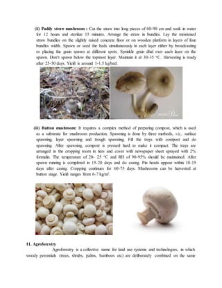 (ii) Paddy straw mushroom : Cut the straw into long pieces of 60-90 cm and soak in water
for 12 hours and sterilize 15 minutes. Arrange the straw in bundles. Lay the moistened
straw bundles on the slightly raised concrete floor or on wooden platform in layers of four
bundles width. Spawn or seed the beds simultaneously in each layer either by broadcasting
or placing the grain spawn at different spots. Sprinkle grain dhal over each layer on the
spawn. Don‘t spawn below the topmost layer. Maintain it at 30-35 oC. Harvesting is ready
after 25-30 days. Yield is around 1-1.5 kg/bed.
(iii) Button mushroom: It requires a complex method of preparing compost, which is used
as a substrate for mushroom production. Spawning is done by three methods, viz., surface
spawning, layer spawning and trough spawning. Fill the trays with compost and do
spawning. After spawning, compost is pressed hard to make it compact. The trays are
arranged in the cropping room in tiers and cover with newspaper sheet sprayed with 2%
formalin. The temperature of 20- 25 oC and RH of 90-95% should be maintained. After
spawn running is completed in 15-20 days and do casing. Pin heads appear within 10-15
days after casing. Cropping continues for 60-75 days. Mushrooms can be harvested at
button stage. Yield ranges from 6-7 kg/m2.
11. Agroforestry
Agroforestry is a collective name for land use systems and technologies, in which
woody perennials (trees, shrubs, palms, bamboos etc) are deliberately combined on the same
 