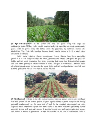 (2) Agri-horti-silviculture: In this system fruit trees are grown along with crops and
multipurpose trees (MPTs). Under rainfed situation hardy fruit trees like ber, aonla, pomegranate,
guava could be grown along with dryland crops like pigeonpea, til, mothbean, mustard etc.
Grafted ber (Var., Gola, Seb, Mundiya, Banarasi Kasak) may be planted at 6 x 6 m with 2 plants
of subabul in between.
Under partial irrigation, Guava, pomegranate, Lemon, Kinnow have been successfully
grown at 6 x 5 m along with crop like wheat, groundnut and subabul (200 pl/ha) for quick leaf
fodder and fuel wood production. For further protecting fruit crops from desiccating hot summer
and cold winter planting of subabul/sesbania at every 2 m apart as wind breaks. Alternate plants
of subabul/sesbania could be harvested for quick fodder and fuel wood production every 3rd year.
Relative grain yield was 70-85% even in 3rd and 4th year.
(3) Silvi-Pastoral system: In the silvi-pastoral system, improved pasture species are introduced
with tree species. In this system grasses or grass legume mixture is grown along with the woody
perennial simultaneously on the same unit of land. In the marginal, sub-marginal and other
degraded lands silvipastoral system has been found to be most economic agroforestry system
especially in arid and semi-arid regions. It involves lopping trees and grazing understory grasses
and bushes in forests or plantations. It helps in reduction of the cost of concentrated feed to
 