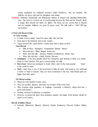 mostly maintained by traditional breeders called Maldharis, who are nomads. The
bullocks are heavy and used for ploughing and carting.
Mehsana: Mehsana, Sabarkanda and Banaskanta districts in Gujarat and adjoining Maharashtra
state. The breed is evolved out of crossbreeding between the Surti and the Murrah. Body
is longer than Murrah but limbs are lighter. The horns are less curved than in Murrah
and are irregular. Bullocks are good for heavy work. The milk yield is 1200-1500 kgs
per lactation.
3. Goat and sheep rearing
(I) Goat rearing:
 In India, Goat is mainly reared for meat, milk, hair and skin.
 Goat meat is the preferred meat in the country.
 A goat on hoof (live goat) fetches a better price than a sheep on hoof.
Goat Breeds
 Milk & Meat – Jamnapari, Osmanabadi, Barbari , Beetal
 Meat and skin – Black Bengal, Kanni adu
 Meat, skin and milk – Barvari, Malabari (Tellicherry), Sirohi, Surti
 Meat, hair and skin – Gaddi, Kutchi, Marwari
 Jamnapari : is the most popular breed for commercial goat farming in India. It is mostly
found in Uttar Pradesh. This goat is reared mainly for milk.
 Boer Goat: breed was developed in South Africa and it is the most popular breed
in the world for meat.
 Surti : Surti Goat is one of the best breed in India for dairy. This breed is very small and
is native of Surat in Gujarat. They are most economical to the rear. Surti female goats are
bigger than male goats.
(II) Sheep rearing:
 Sheep are well adapted to many areas.
 They are excellent gleaners and make use of much of the waste feed.
 They consume large quantities of roughage, converting a relatively cheap food into a
good cash product.
 Housing need not be elaborate or expensive.
 However, to protect the flock from predatory animals, the height of the fencing should be
raised to two meters.
Breeds of Indian Sheep:
 Karanah, Bhakarwal, Bikaneri, Marwari, Kutchi, Kathiawari, Deccani, Nellore, Bellary
etc.
 