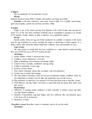 4. Piggery
Pigs are maintained for the production of pork.
Breeds:
Imported breeds of Large White Yorkshire and Landrace are being used widely.
Yorkshire is the most extensively used exotic breed in India. It is a prolific breed having
good carcass quality, growth rate and feed conversion ability.
5. Poultry
Poultry is one of the fastest growing food industries in the world. Poultry meat accounts for
about 27% of the total meat consumed worldwide and its consumption is growing at an average
of 5% annually. Poultry industry in India is relatively a new agricultural industry.
Breeds:
Specific poultry stocks for egg and broiler production are available. A majority of the stocks
used for egg production are crosses involving the strains or inbred lines of white Leghorn. To a
limited extent, other breeds like Rhode Island Red, California Grey and Australop are used.
Cage system:
The cage system of rearing birds has been considered as a super intensive system providing
floor area of 450-525 sq.cm. (0.6-0.75 sq.feet) per bird.
Advantages
1. Greater number of birds is reared per unit of area
2. Facilitates correct maintenance of records
3. Helps in identifying poor producers and prompt culling
4. Control of vices of poultry cannibalism and egg eating
5. It helps in production of clean eggs
6. Removal of stress factors
7. Easy control of parasitic disease like coccidiosis and worm infestation
8. Prompt steps to control feed wastage.
9. The cage method of housing is ideal for the area of moderated climate conditions where the
day temperature in summer does not high and temperature does not fall too low.
10. Egg production of caged layer was reported to be more than those kept in deep litter system.
11. Feed efficiency and egg weight were better in caged birds than the laying flock under deep
litter system
Disadvantages
1. Difficulties in ensuring proper ventilation to birds especially in summer season and under
very high densed conditions.
2. Incidence of leg problem, cage layer fatigue, fatty liver syndrome, flies and obnoxious gases
in the house will be on increases
3. Hysteriosis of chicks
Deeplitter system: Deep litter system is commonly used in all over the world.
Advantages:
 