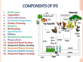 1. Field crops.
2. Vegetables.
3. Fruit cultivation.
4. Livestock Integration.
5. Poultry Farming.
6. Duckery.
7. Beekeeping
8. Agro forestry.
9. Fishery
10. Mushroom cultivation.
11. Biogas plant.
12. Integrated Quail farming
13. Integrated Turkey farming
14. Integrated Pigeon farming
15. Integrated Rabbit farming
16. Integrated Piggery farming
COMPONENTS OF IFS
 