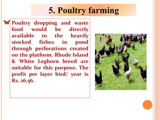 Poultry dropping and waste
food would be directly
available to the heavily
stocked fishes in pond
through perforations created
on the platform. Rhode Island
& White Leghorn breed are
suitable for this purpose. The
profit per layer bird/ year is
Rs. 26.56.
5. Poultry farming
 