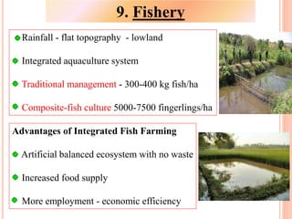 Rainfall - flat topography - lowland
Integrated aquaculture system
Traditional management - 300-400 kg fish/ha
Composite-fish culture 5000-7500 fingerlings/ha
Advantages of Integrated Fish Farming
Artificial balanced ecosystem with no waste
Increased food supply
More employment - economic efficiency
9. Fishery
 
