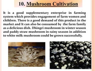 10. Mushroom Cultivation
It is a good supplementary enterprise in farming
system which provides engagement of farm women and
children. There is a good demand of this product in the
market and It can also be consumed by the farm family
as a delicious dish. Dhingri mushroom in winter season
and paddy straw mushroom in rainy season in addition
to white milk mushroom could be grown successfully.
 