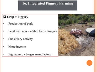 16. Integrated Piggery Farming
 Crop + Piggery
• Production of pork
• Feed with non – edible feeds, forages
• Subsidiary activity
• More income
• Pig manure - biogas manufacture
 