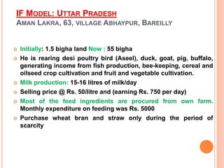 IF MODEL: UTTAR PRADESH
AMAN LAKRA, 63, VILLAGE ABHAYPUR, BAREILLY
 Initially: 1.5 bigha land Now : 55 bigha
 He is rearing desi poultry bird (Aseel), duck, goat, pig, buffalo,
generating income from fish production, bee-keeping, cereal and
oilseed crop cultivation and fruit and vegetable cultivation.
 Milk production: 15-16 litres of milk/day
 Selling price @ Rs. 50/litre and (earning Rs. 750 per day)
 Most of the feed ingredients are procured from own farm.
Monthly expenditure on feeding was Rs. 5000
 Purchase wheat bran and straw only during the period of
scarcity
 