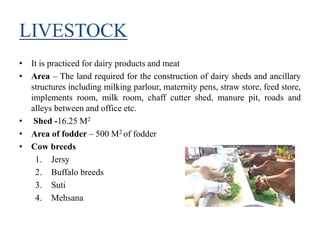 LIVESTOCK
• It is practiced for dairy products and meat
• Area – The land required for the construction of dairy sheds and ancillary
structures including milking parlour, maternity pens, straw store, feed store,
implements room, milk room, chaff cutter shed, manure pit, roads and
alleys between and office etc.
• Shed -16.25 M2
• Area of fodder – 500 M2 of fodder
• Cow breeds
1. Jersy
2. Buffalo breeds
3. Suti
4. Mehsana
 
