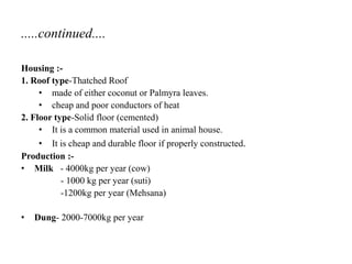 .....continued....
Housing :-
1. Roof type-Thatched Roof
• made of either coconut or Palmyra leaves.
• cheap and poor conductors of heat
2. Floor type-Solid floor (cemented)
• It is a common material used in animal house.
• It is cheap and durable floor if properly constructed.
Production :-
• Milk - 4000kg per year (cow)
- 1000 kg per year (suti)
-1200kg per year (Mehsana)
• Dung- 2000-7000kg per year
 
