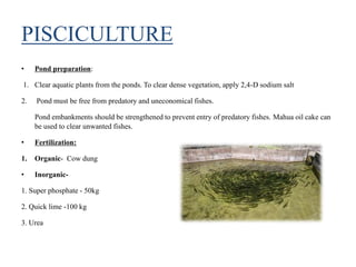 PISCICULTURE
• Pond preparation:
1. Clear aquatic plants from the ponds. To clear dense vegetation, apply 2,4-D sodium salt
2. Pond must be free from predatory and uneconomical fishes.
Pond embankments should be strengthened to prevent entry of predatory fishes. Mahua oil cake can
be used to clear unwanted fishes.
• Fertilization:
1. Organic- Cow dung
• Inorganic-
1. Super phosphate - 50kg
2. Quick lime -100 kg
3. Urea
 