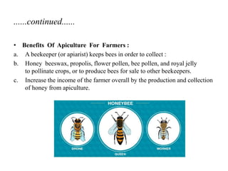 ......continued......
• Benefits Of Apiculture For Farmers :
a. A beekeeper (or apiarist) keeps bees in order to collect :
b. Honey beeswax, propolis, flower pollen, bee pollen, and royal jelly
to pollinate crops, or to produce bees for sale to other beekeepers.
c. Increase the income of the farmer overall by the production and collection
of honey from apiculture.
 