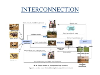 INTERCONNECTION
 
