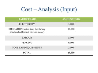 Cost – Analysis (Input)
PARTICULARS AMOUNT(INR)
ELECTRICITY 5,000
IRRIGATION(water from the fishery
pond and additional electric motor)
10,000
LABOUR 5,000
FENCING 6,000
TOOLS AND EQUIPMENTS 3,000
TOTAL 29,000
 