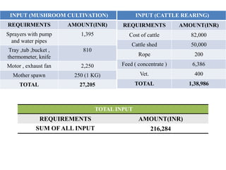 INPUT (MUSHROOM CULTIVATION)
REQUIRMENTS AMOUNT(INR)
Sprayers with pump
and water pipes
1,395
Tray ,tub ,bucket ,
thermometer, knife
810
Motor , exhaust fan 2,250
Mother spawn 250 (1 KG)
TOTAL 27,205
INPUT (CATTLE REARING)
REQUIRMENTS AMOUNT(INR)
Cost of cattle 82,000
Cattle shed 50,000
Rope 200
Feed ( concentrate ) 6,386
Vet. 400
TOTAL 1,38,986
TOTAL INPUT
REQUIREMENTS AMOUNT(INR)
SUM OF ALL INPUT 216,284
 