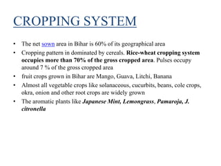 CROPPING SYSTEM
• The net sown area in Bihar is 60% of its geographical area
• Cropping pattern in dominated by cereals. Rice-wheat cropping system
occupies more than 70% of the gross cropped area. Pulses occupy
around 7 % of the gross cropped area
• fruit crops grown in Bihar are Mango, Guava, Litchi, Banana
• Almost all vegetable crops like solanaceous, cucurbits, beans, cole crops,
okra, onion and other root crops are widely grown
• The aromatic plants like Japanese Mint, Lemongrass, Pamaroja, J.
citronella
 