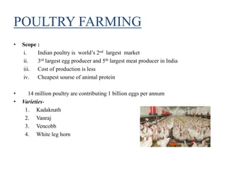 POULTRY FARMING
• Scope :
i. Indian poultry is world’s 2nd largest market
ii. 3rd largest egg producer and 5th largest meat producer in India
iii. Cost of production is less
iv. Cheapest sourse of animal protein
• 14 million poultry are contributing 1 billion eggs per annum
• Varieties-
1. Kadaknath
2. Vanraj
3. Vencobb
4. White leg horn
 