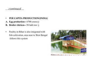 ....continued....
• PER CAPITA PRODUCTION(INDIA)
A. Egg production-- 6700 crores/y
B. Broiler chicken-- 50 lakh ton /y
• Poultry in Bihar is also integrated with
fish cultivation, area near to West Bengal
follows this system
 