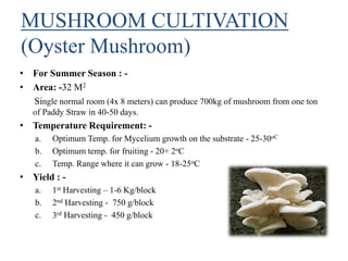 MUSHROOM CULTIVATION
(Oyster Mushroom)
• For Summer Season : -
• Area: -32 M2
Single normal room (4x 8 meters) can produce 700kg of mushroom from one ton
of Paddy Straw in 40-50 days.
• Temperature Requirement: -
a. Optimum Temp. for Mycelium growth on the substrate - 25-30oC
b. Optimum temp. for fruiting - 20+ 2oC
c. Temp. Range where it can grow - 18-25oC
• Yield : -
a. 1st Harvesting – 1-6 Kg/block
b. 2nd Harvesting - 750 g/block
c. 3rd Harvesting - 450 g/block
 