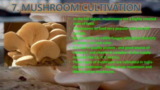 • In the hill region, mushrooms are a highly coveted
item of food.
• Mushrooms as food very popular with the Hill
people.
• Mushroom is an edible fungus with great diversity
in shape, size and color.
• It is rich in quality protein , and good source of
vitamin C and vitamin B complex .It also supply
minerals like Ca, P, K and Cu.
• Three types of mushroom are cultivated in India-
Oyster mushroom , Paddy straw mushroom and
White button mushroom.
 
