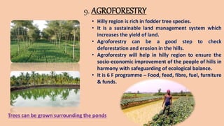 9. AGROFORESTRY
• Hilly region is rich in fodder tree species.
• It is a sustainable land management system which
increases the yield of land.
• Agroforestry can be a good step to check
deforestation and erosion in the hills.
• Agroforestry will help in hilly region to ensure the
socio-economic improvement of the people of hills in
harmony with safeguarding of ecological balance.
• It is 6 F programme – Food, feed, fibre, fuel, furniture
& funds.
Trees can be grown surrounding the ponds
 
