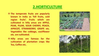 2.HORTICULTURE
 The temperate fruits are popularly
known in India as ‘hill fruits, cold
region fruits’. Fruits which are
cultivated in hilly areas are APPLE,
PEAR, PLUM, SOUR CHERRY, PEACH,
APRICOT, STRAWBERRY, GRAPE etc.
Vegetables like cabbage, cauliflower
etc. are cultivated.
 Hilly areas are famous for the
cultivation of plantation crops like
Tea, Coffee etc.
 