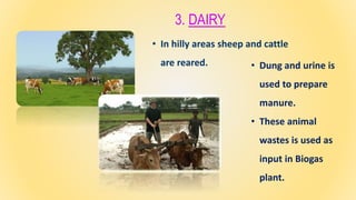 3. DAIRY
• Dung and urine is
used to prepare
manure.
• These animal
wastes is used as
input in Biogas
plant.
• In hilly areas sheep and cattle
are reared.
 