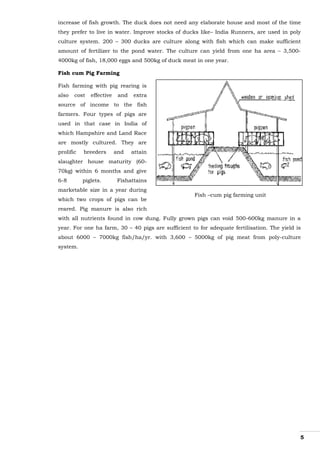 5
increase of fish growth. The duck does not need any elaborate house and most of the time
they prefer to live in water. Improve stocks of ducks like– India Runners, are used in poly
culture system. 200 – 300 ducks are culture along with fish which can make sufficient
amount of fertilizer to the pond water. The culture can yield from one ha area – 3,500-
4000kg of fish, 18,000 eggs and 500kg of duck meat in one year.
Fish cum Pig Farming
Fish farming with pig rearing is
also cost effective and extra
source of income to the fish
farmers. Four types of pigs are
used in that case in India of
which Hampshire and Land Race
are mostly cultured. They are
prolific breeders and attain
slaughter house maturity (60-
70kg) within 6 months and give
6-8 piglets. Fishattains
marketable size in a year during
which two crops of pigs can be
reared. Pig manure is also rich
with all nutrients found in cow dung. Fully grown pigs can void 500-600kg manure in a
year. For one ha farm, 30 – 40 pigs are sufficient to for adequate fertilisation. The yield is
about 6000 – 7000kg fish/ha/yr. with 3,600 – 5000kg of pig meat from poly-culture
system.
Fish –cum pig farming unit
 