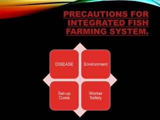 Integrated fish farming system
