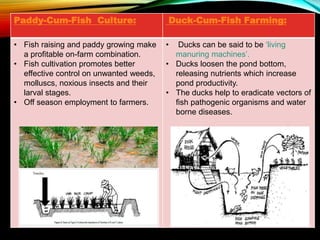 ADVANTAGES OF
INTEGRATED FISH FARMING
SYSTEM.
• Profitability
• Productivity
• Balanced Food
• Environmental Safety
• Savi...