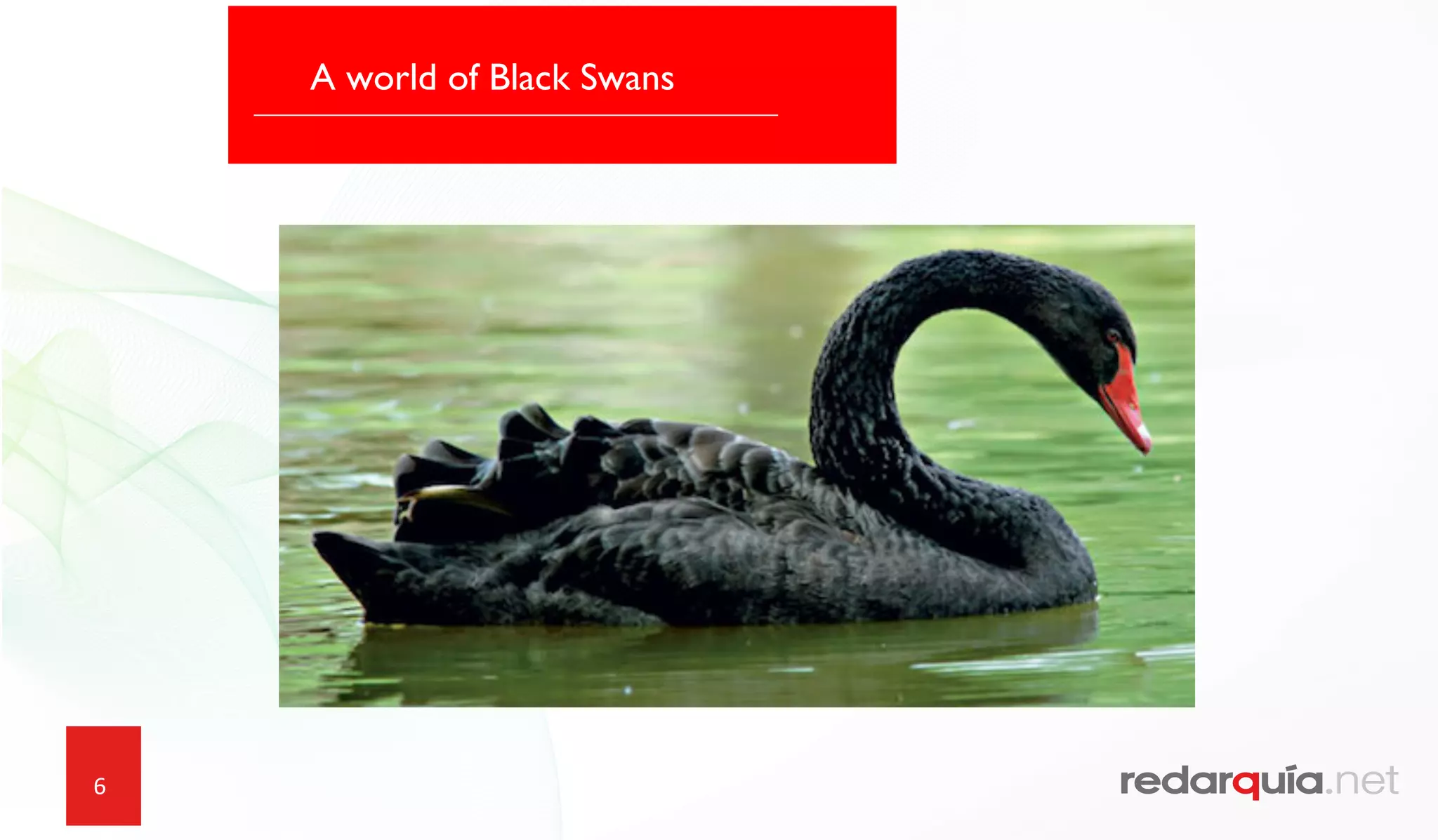 6
A world of Black Swans
 