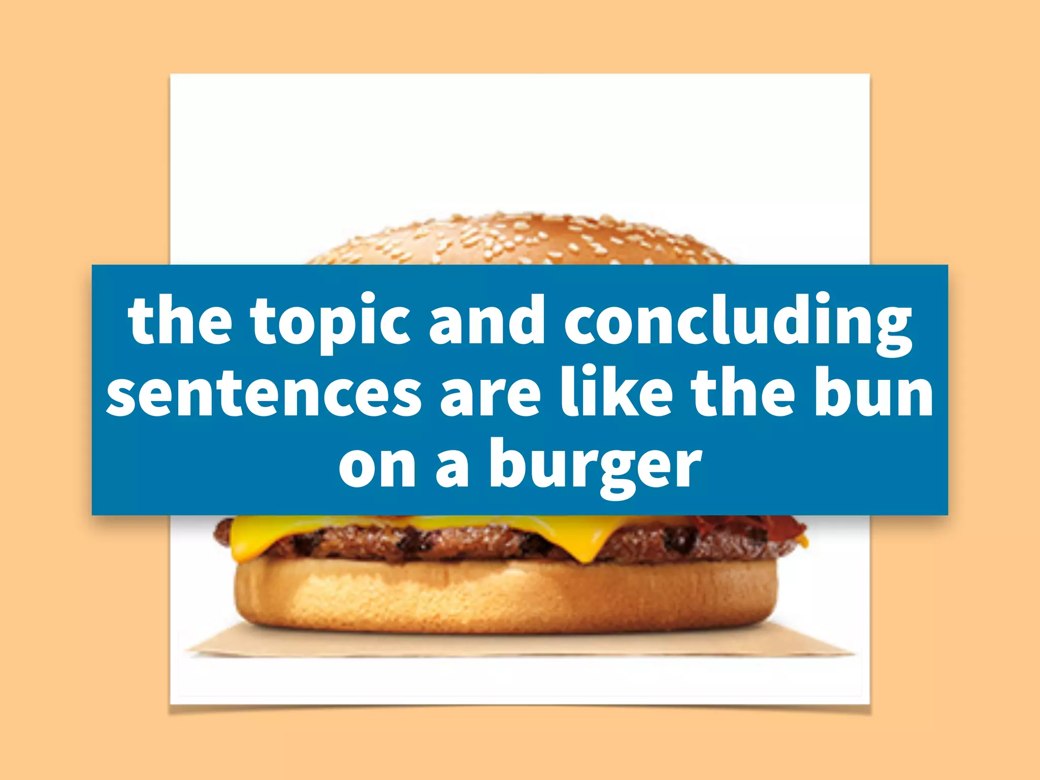 the topic and concluding
sentences are like the bun
on a burger
 