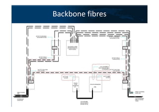 Backbone fibres
 