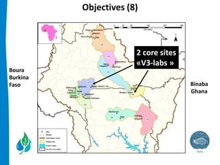 Integrated management of small reservoirs for multiple uses Volta Basin Development Challenge v3