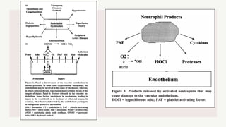 Integrated myocardial protection | PDF
