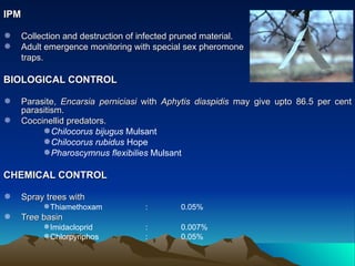 IPM

   Collection and destruction of infected pruned material.
   Adult emergence monitoring with special sex pheromone
    traps.

BIOLOGICAL CONTROL

   Parasite, Encarsia perniciasi with Aphytis diaspidis may give upto 86.5 per cent
    parasitism.
   Coccinellid predators.
         Chilocorus bijugus Mulsant
         Chilocorus rubidus Hope
         Pharoscymnus flexibilies Mulsant

CHEMICAL CONTROL

   Spray trees with
         Thiamethoxam            :        0.05%
   Tree basin
         Imidacloprid            :        0.007%
         Chlorpyriphos           :        0.05%
 