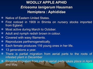 WOOLLY APPLE APHID
              Eriosoma lanigerum Hausman
                  Hemiptera : Aphididae
 Native of Eastern United States.
 First noticed in 1909 in Shimla on nursery stocks imported
  from Egland.
 Most active during March to October.
 Adult and nymph redish brown in colour.
 Covered with waxy filaments.
 Reproduces parthenogenetically.
 Each female produces 116 young ones in her life.
 13 generations a year.
 There is partial migration from aerial parts to the roots of
  infested plant in December
 Reverse migration from root to aerial parts takes place in April
  and May.
 