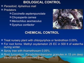 BIOLOGICAL CONTROL
 Parasitoid, Aphelinus mali
 Predators
      Coccinella septempunctata
      Chrysoperla carnea
      Menochilus sexmaculus
      Syrphus confactor

                  CHEMICAL CONTROL

 Treat nursery plant with chlorpyriphos or fenitrothion 0.05%.
 For root forms: Methyl oxydemeton 25 EC in 500 lt of water/ha
  during winter.
 Spray tree with thiamethoxam 0.05%.
 Root fumigation: Paradichlorobenzene granules in 15 cm deep
  trench dug around infested tree.
 