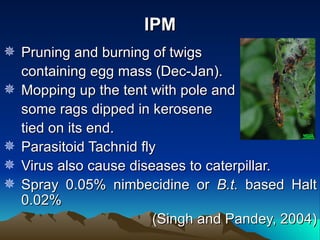 IPM
 Pruning and burning of twigs
  containing egg mass (Dec-Jan).
 Mopping up the tent with pole and
  some rags dipped in kerosene
  tied on its end.
 Parasitoid Tachnid fly
 Virus also cause diseases to caterpillar.
 Spray 0.05% nimbecidine or B.t. based Halt
  0.02%
                        (Singh and Pandey, 2004)
 