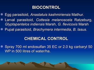 BIOCONTROL
 Egg parasitoid, Anastatuis kashmiriensis Mathur.
 Larval parasitoid, Cottesia melanoscela Ratzeburg,
  Glyptapantelos indiensis Marsh, G. flevicoxis Marsh
 Pupal parasitoid, Brachymera intermedia, B. lasus.

             CHEMICAL CONTROL
 Spray 700 ml endosulfan 35 EC or 2.0 kg carbaryl 50
  WP in 500 litres of water/ha.
 