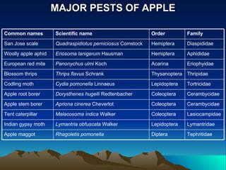 MAJOR PESTS OF APPLE

Common names         Scientific name                        Order          Family

San Jose scale       Quadraspidiotus perniciosus Comstock   Hemiptera      Diaspididae

Woolly apple aphid   Eriosoma lanigerum Hausman             Hemiptera      Aphididae

European red mite    Panonychus ulmi Koch                   Acarina        Eriophyidae

Blossom thrips       Thrips flavus Schrank                  Thysanoptera   Thripidae

Codling moth         Cydia pomonella Linnaeus               Lepidoptera    Tortricidae

Apple root borer     Dorysthenes hugelli Redtenbacher       Coleoptera     Cerambycidae

Apple stem borer     Apriona cinerea Cheverlot              Coleoptera     Cerambycidae

Tent caterpillar     Malacosoma indica Walker               Coleoptera     Lasiocampidae

Indian gypsy moth    Lymantria obfuscata Walker             Lepidoptera    Lymantridae

Apple maggot         Rhagoletis pomonella                   Diptera        Tephritidae
 