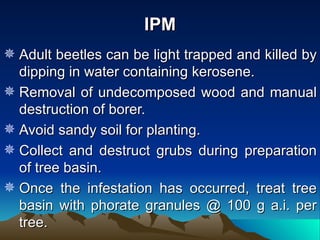 IPM
 Adult beetles can be light trapped and killed by
  dipping in water containing kerosene.
 Removal of undecomposed wood and manual
  destruction of borer.
 Avoid sandy soil for planting.
 Collect and destruct grubs during preparation
  of tree basin.
 Once the infestation has occurred, treat tree
  basin with phorate granules @ 100 g a.i. per
  tree.
 