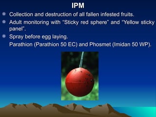IPM
 Collection and destruction of all fallen infested fruits.
 Adult monitoring with “Sticky red sphere” and “Yellow sticky
  panel”.
 Spray before egg laying.
  Parathion (Parathion 50 EC) and Phosmet (Imidan 50 WP).
 