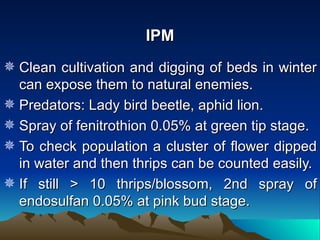 IPM
 Clean cultivation and digging of beds in winter
  can expose them to natural enemies.
 Predators: Lady bird beetle, aphid lion.
 Spray of fenitrothion 0.05% at green tip stage.
 To check population a cluster of flower dipped
  in water and then thrips can be counted easily.
 If still > 10 thrips/blossom, 2nd spray of
  endosulfan 0.05% at pink bud stage.
 
