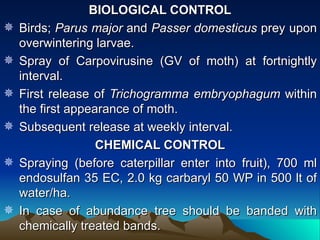 BIOLOGICAL CONTROL
   Birds; Parus major and Passer domesticus prey upon
    overwintering larvae.
   Spray of Carpovirusine (GV of moth) at fortnightly
    interval.
   First release of Trichogramma embryophagum within
    the first appearance of moth.
   Subsequent release at weekly interval.
                   CHEMICAL CONTROL
   Spraying (before caterpillar enter into fruit), 700 ml
    endosulfan 35 EC, 2.0 kg carbaryl 50 WP in 500 lt of
    water/ha.
   In case of abundance tree should be banded with
    chemically treated bands.
 