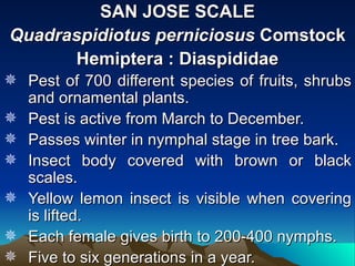 SAN JOSE SCALE
Quadraspidiotus perniciosus Comstock
      Hemiptera : Diaspididae
 Pest of 700 different species of fruits, shrubs
  and ornamental plants.
 Pest is active from March to December.
 Passes winter in nymphal stage in tree bark.
 Insect body covered with brown or black
  scales.
 Yellow lemon insect is visible when covering
  is lifted.
 Each female gives birth to 200-400 nymphs.
 Five to six generations in a year.
 