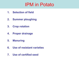 IPM in Potato
1. Selection of field
2. Summer ploughing
3. Crop rotation
4. Proper drainage
5. Manuring
6. Use of resistant varieties
7. Use of certified seed
 