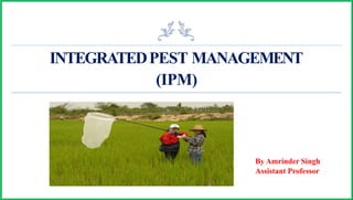 INTEGRATEDPEST MANAGEMENT
(IPM)
By Amrinder Singh
Assistant Professor
 