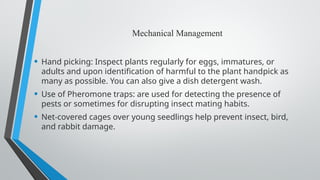 Mechanical Management
• Hand picking: Inspect plants regularly for eggs, immatures, or
adults and upon identification of harmful to the plant hand­
pick as
many as possible. You can also give a dish detergent wash.
• Use of Pheromone traps: are used for detecting the presence of
pests or sometimes for disrupting insect mating habits.
• Net-covered cages over young seedlings help prevent insect, bird,
and rabbit damage.
 