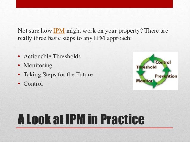 Green pesticides in ipm