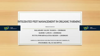 INTEGRATED PEST MANAGEMENT IN ORGANIC FARMING
PRESENTATION BY
:
BALARABE SALISU HAMZA – 2301B06101
KABIRU LAWAN – 2301B06102
PUTTA PSWARNALATHA REDDY – 2301B06103
AGRON 513- PRINCIPLES AND PRACTICES OF ORGANIC FARMING (T)
INCHARGE: Ms. B. SAI DIVYA
 